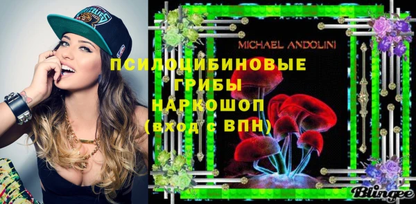 PSILOCYBIN Балабаново