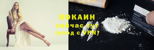 PSILOCYBIN Балабаново