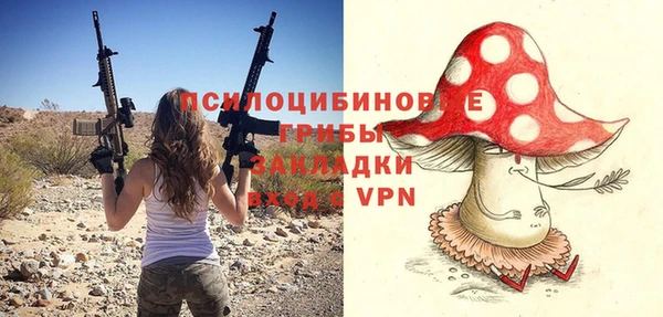 PSILOCYBIN Балабаново