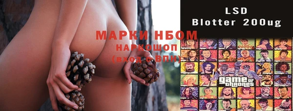 PSILOCYBIN Балабаново